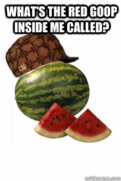 what's the red goop inside me called?  - what's the red goop inside me called?   Scumbag Watermelon