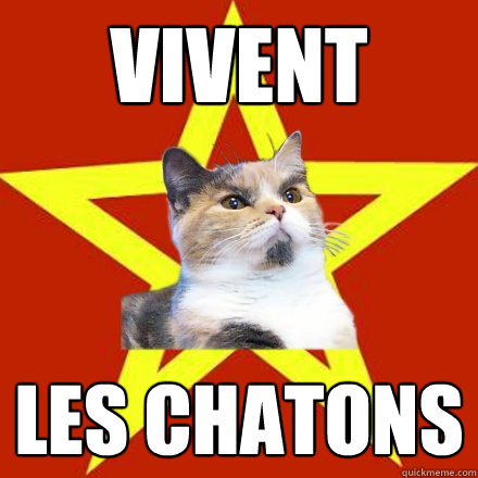 Vivent  les chatons  Lenin Cat