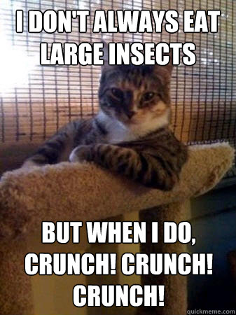 I don't always eat large insects but when I do, Crunch! Crunch! Crunch!  The Most Interesting Cat in the World