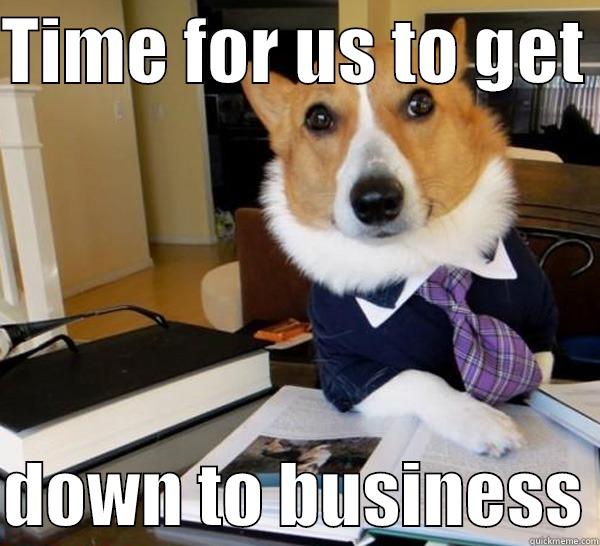 biz dog - TIME FOR US TO GET   DOWN TO BUSINESS Lawyer Dog