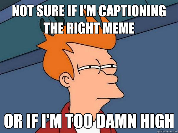 Not sure if i'm captioning the right meme or if i'm too damn high  Futurama Fry