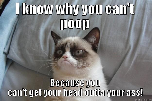 I KNOW WHY YOU CAN'T POOP BECAUSE YOU CAN'T GET YOUR HEAD OUTTA YOUR ASS! Grumpy Cat