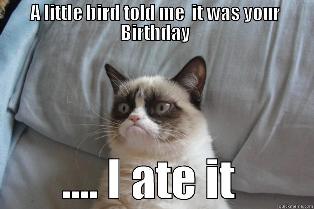 bye bye birthday bird  - A LITTLE BIRD TOLD ME  IT WAS YOUR BIRTHDAY .... I ATE IT  Grumpy Cat