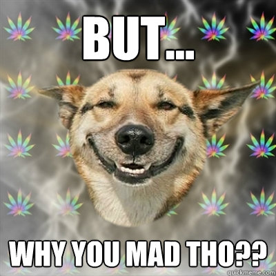 But... Why you mad tho??  Stoner Dog