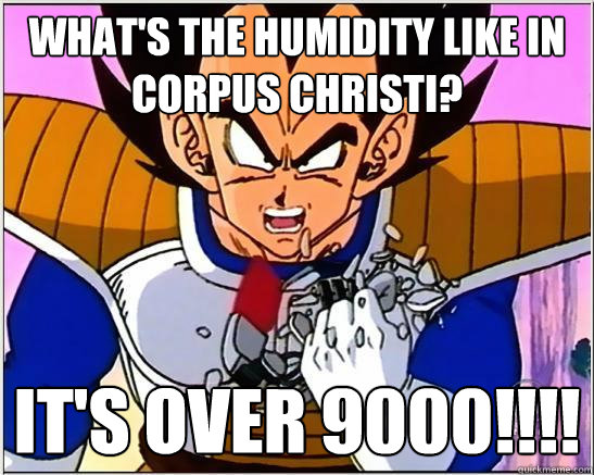 What's the humidity like in corpus christi? IT'S OVER 9000!!!!  Corpus Christi weather