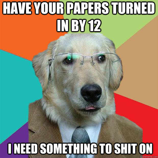 have your papers turned in by 12 I need something to shit on  Business Dog