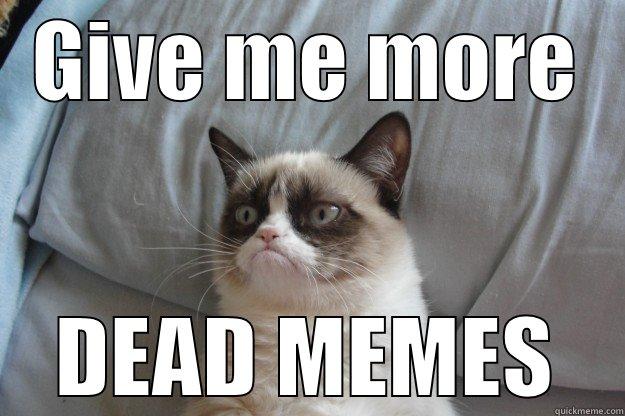 give me more - GIVE ME MORE DEAD MEMES Grumpy Cat