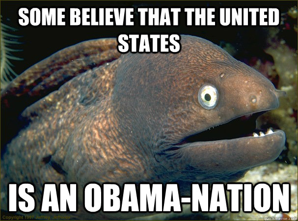 Some believe that the United States Is an Obama-Nation  Bad Joke Eel