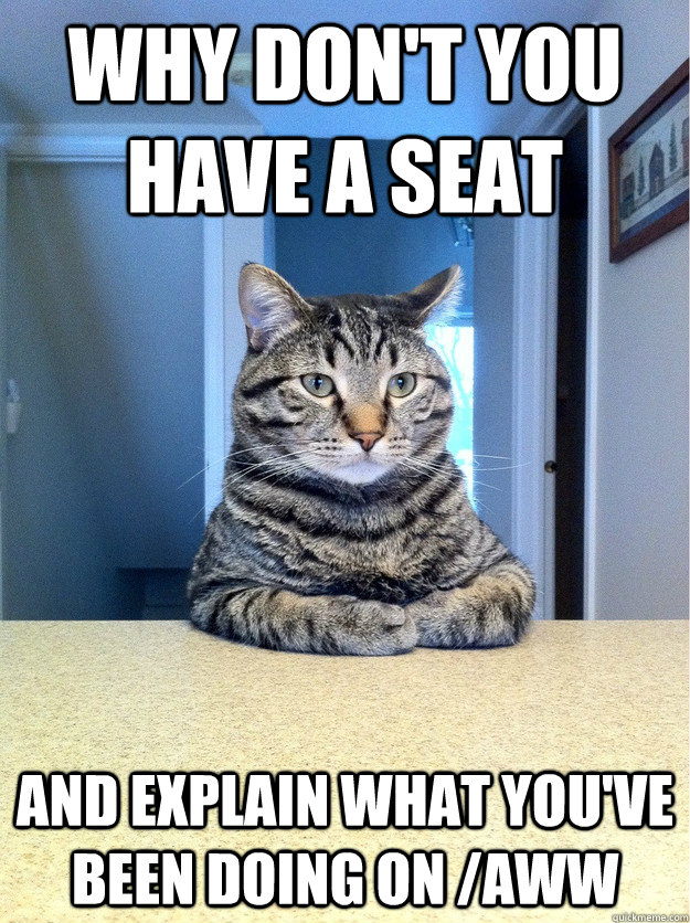 Why don't you have a seat and explain what you've been doing on /aww  Chris Hansen Cat