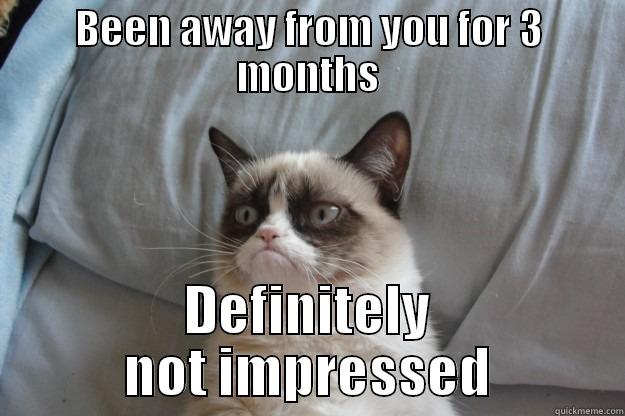 BEEN AWAY FROM YOU FOR 3 MONTHS DEFINITELY NOT IMPRESSED Grumpy Cat