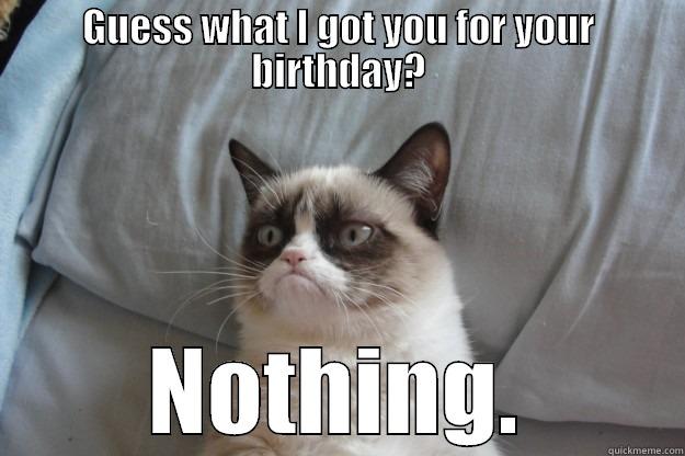 GUESS WHAT I GOT YOU FOR YOUR BIRTHDAY? NOTHING. Grumpy Cat