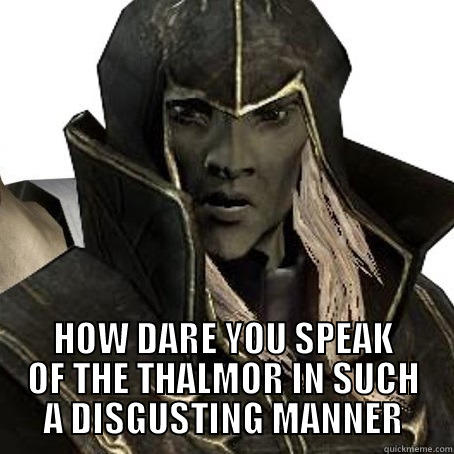  HOW DARE YOU SPEAK OF THE THALMOR IN SUCH A DISGUSTING MANNER Misc