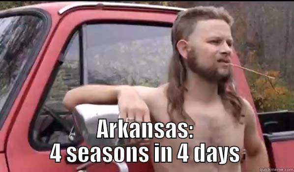  ARKANSAS: 4 SEASONS IN 4 DAYS Almost Politically Correct Redneck