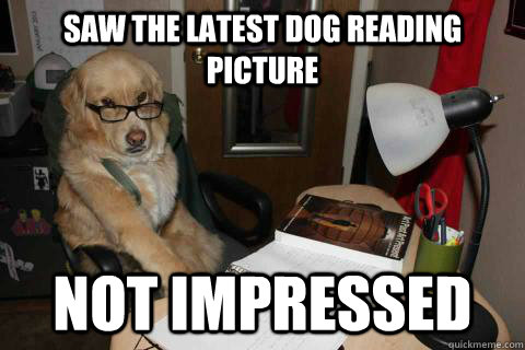 saw the latest dog reading picture not impressed - saw the latest dog reading picture not impressed  Misc