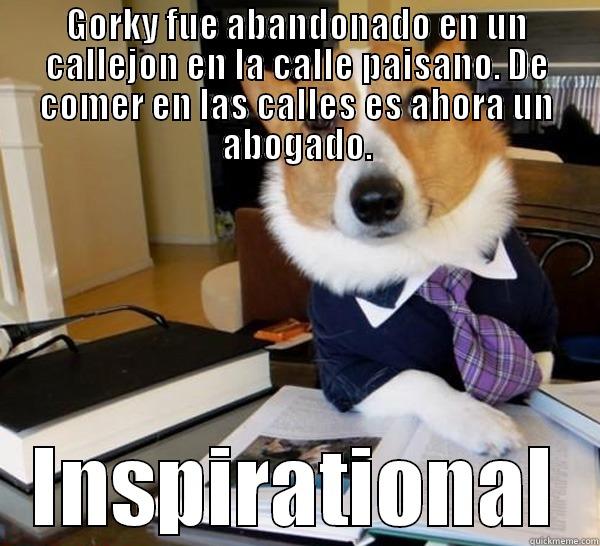 GORKY FUE ABANDONADO EN UN CALLEJON EN LA CALLE PAISANO. DE COMER EN LAS CALLES ES AHORA UN ABOGADO. INSPIRATIONAL Lawyer Dog