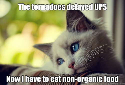 The tornadoes delayed UPS Now I have to eat non-organic food  First World Problems Cat