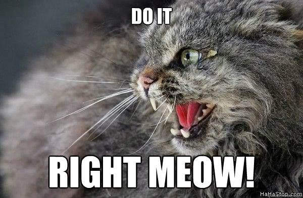 do it right meow!  