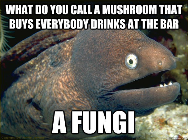 What do you call a mushroom that buys everybody drinks at the bar A fungi   Bad Joke Eel