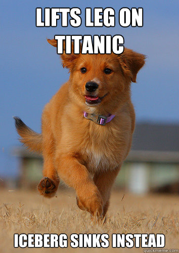 Lifts leg on Titanic Iceberg sinks instead  Ridiculously Photogenic Puppy