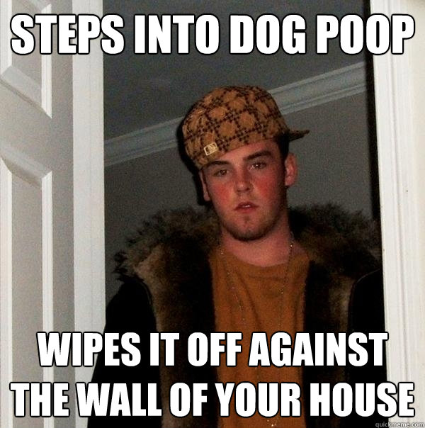 Steps into dog poop Wipes it off against the wall of your house  Scumbag Steve