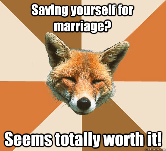 Saving yourself for marriage? Seems totally worth it!  Condescending Fox