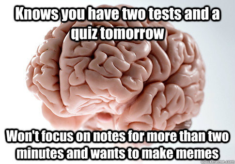 Knows you have two tests and a quiz tomorrow Won't focus on notes for more than two minutes and wants to make memes  Scumbag Brain