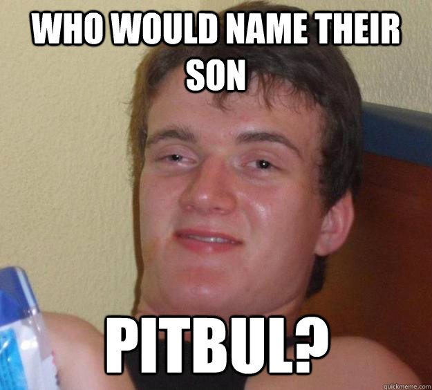 who would name their son pitbul?  10 Guy