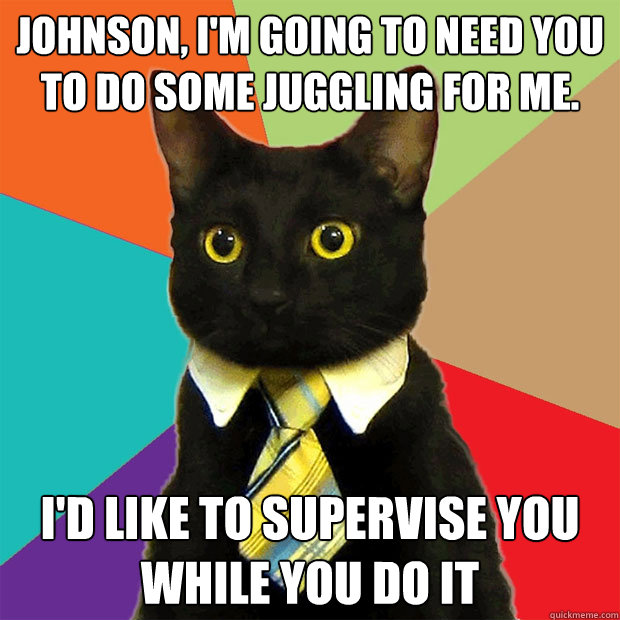 Johnson, I'm going to need you to do some juggling for me. I'd like to supervise you while you do it  Business Cat