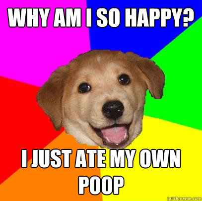 Why am I so happy? I just ate my own poop  Advice Dog