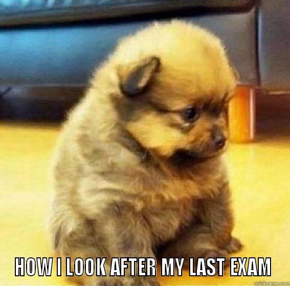 EXAM TIMES -  HOW I LOOK AFTER MY LAST EXAM Misc