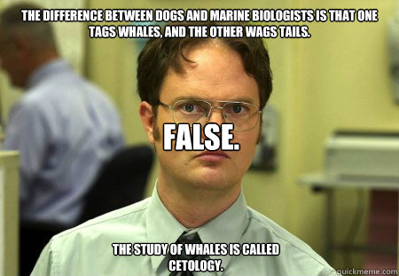 the difference between dogs and marine biologists is that one tags whales, and the other wags tails. FALSE. The study of whales is called cetology.  Dwight