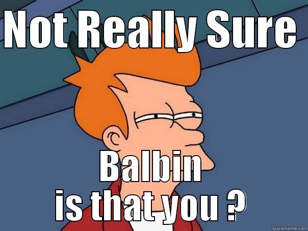 NOT REALLY SURE  BALBIN IS THAT YOU ? Futurama Fry