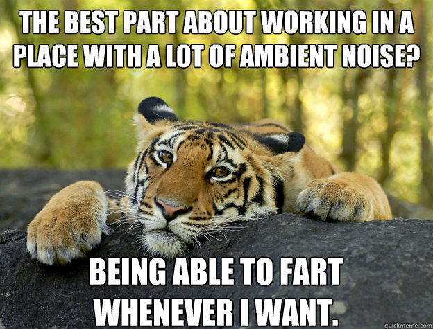 The best part about working in a place with a lot of ambient noise? Being able to fart 
whenever I want.  Confession Tiger