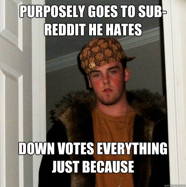 Purposely goes to sub-reddit he hates Down votes everything just because  Scumbag Steve