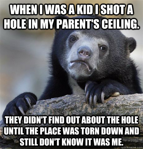 When i was a kid i shot a hole in my parent's ceiling.  They didn't find out about the hole until the place was torn down and still don't know it was me.  Confession Bear