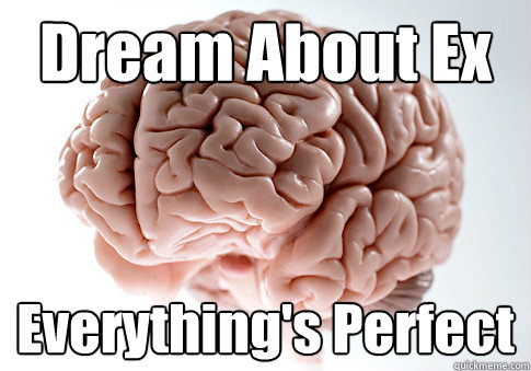 Dream About Ex Everything's Perfect   Scumbag Brain