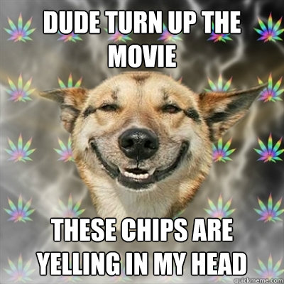 Dude turn up the movie These chips are yelling in my head  Stoner Dog