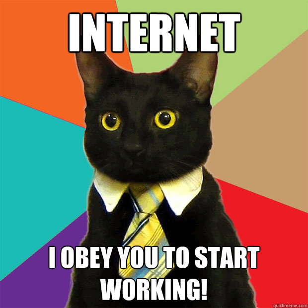 Internet I obey you to start working!  Business Cat