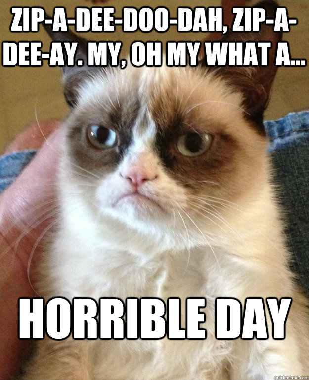 Zip-a-dee-doo-dah, zip-a-dee-ay. My, oh my what a... HORRIBLE DAY  Grumpy Cat