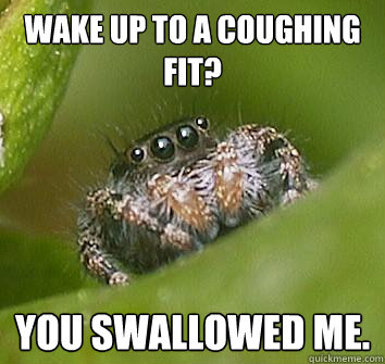 Wake up to a coughing fit? You swallowed me.  Misunderstood Spider