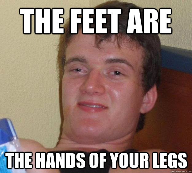 The feet are the hands of your legs - The feet are the hands of your legs  10 Guy