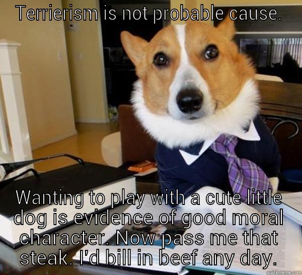 TERRIERISM IS NOT PROBABLE CAUSE. WANTING TO PLAY WITH A CUTE LITTLE DOG IS EVIDENCE OF GOOD MORAL CHARACTER. NOW PASS ME THAT STEAK. I'D BILL IN BEEF ANY DAY. Lawyer Dog