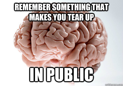 REMEMBER SOMETHING THAT MAKES YOU TEAR UP IN PUBLIC   Scumbag Brain