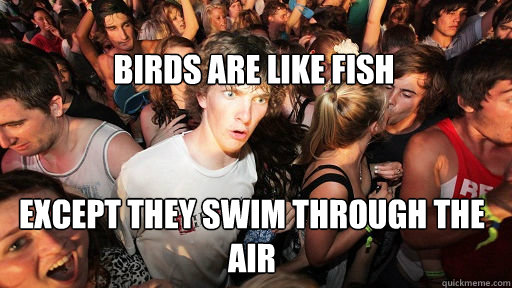 
birds are like fish except they swim through the air - 
birds are like fish except they swim through the air  Sudden Clarity Clarence