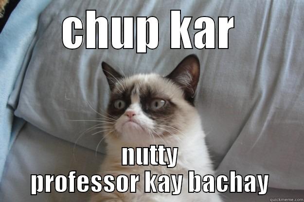 CHUP KAR NUTTY PROFESSOR KAY BACHAY Grumpy Cat