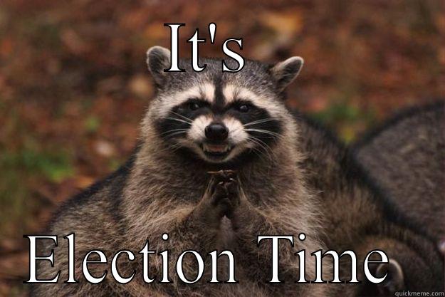 IT'S  ELECTION TIME  Evil Plotting Raccoon