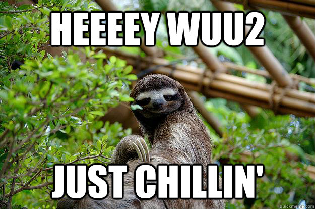 Heeeey wuu2 just chillin'  Fabulous Sloth