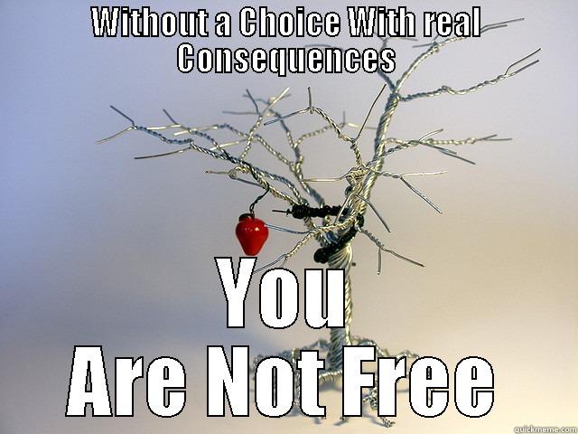 WITHOUT A CHOICE WITH REAL CONSEQUENCES YOU ARE NOT FREE Misc