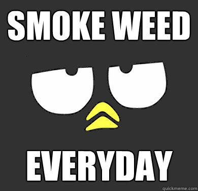 smoke weed everyday  