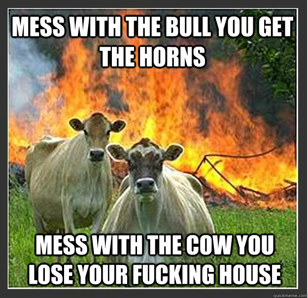 mess with the bull you get the horns Mess with the cow you lose your fucking house  Evil cows